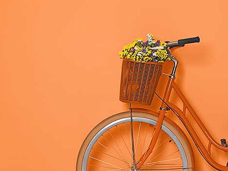 Fahrrad mit Blumenkorb